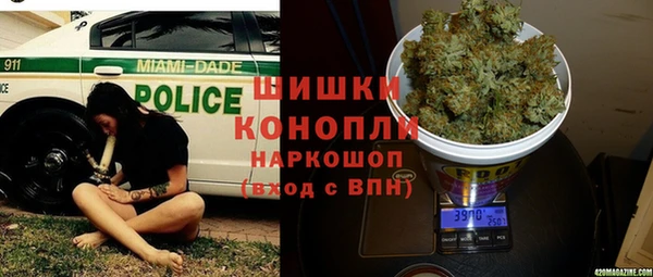 гидропоника Белокуриха