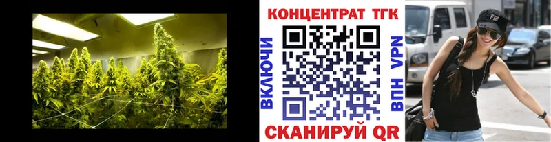 купить наркоту  Лыткарино  ТГК Wax 