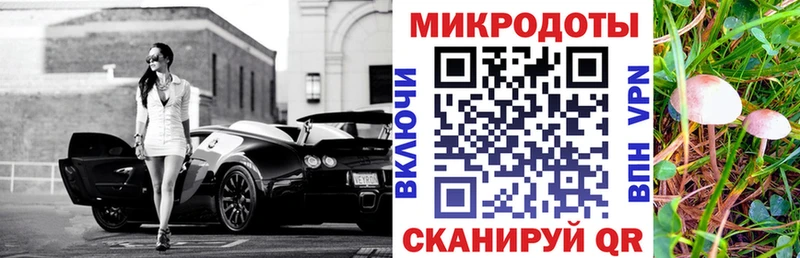 OMG ONION  Лыткарино  Галлюциногенные грибы прущие грибы 