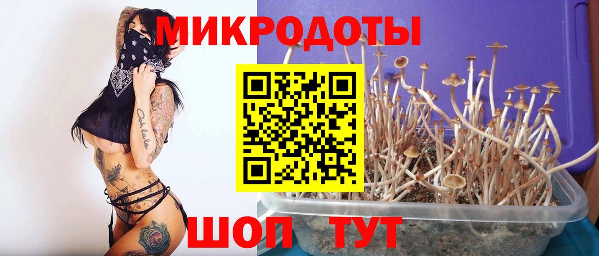 Псилоцибиновые грибы MAGIC MUSHROOMS Лыткарино